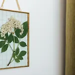 Naturoase Mirnock - Wandern & Mountainbike - Kaernten Card Inkl 아파트