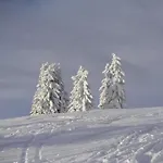 Naturoase Mirnock - Wandern & Mountainbike - Kaernten Card Inkl 아파트 *