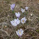 아파트 Naturoase Mirnock - Wandern & Mountainbike - Kaernten Card Inkl