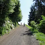 Naturoase Mirnock - Wandern & Mountainbike - Kaernten Card Inkl