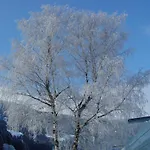 Kaernten Card Inkludiert - Apartments Nahe Bad Kleinkirchheim Апартаменты *