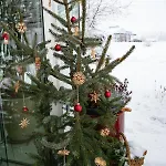 Naturoase Mirnock - Wandern & Mountainbike - Kaernten Card Inkl