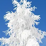 Naturoase Mirnock - Wandern & Mountainbike - Kaernten Card Inkl