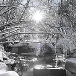 아파트 Naturoase Mirnock - Wandern & Mountainbike - Kaernten Card Inkl 애프리츠