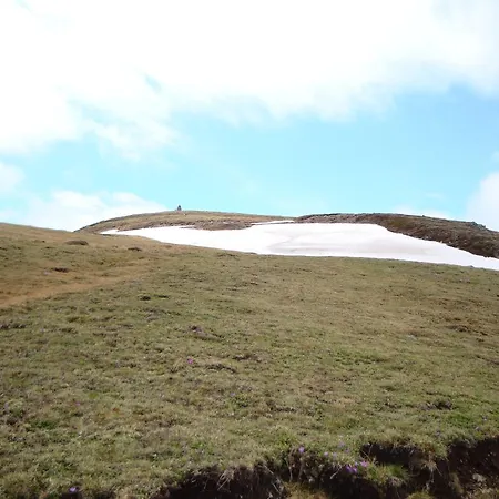 Apartament Naturoase Mirnock