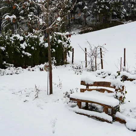 Naturoase Mirnock Apartment