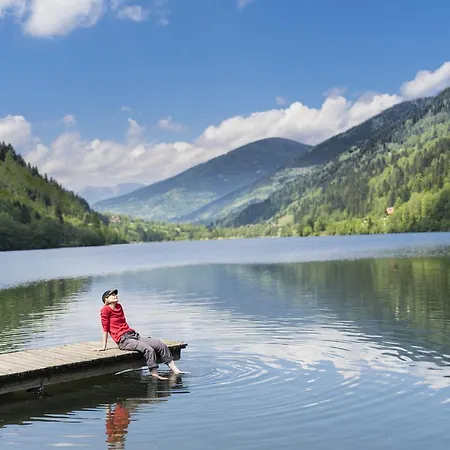 Kaernten Card Inkludiert - Nahe Bad Kleinkirchheim *