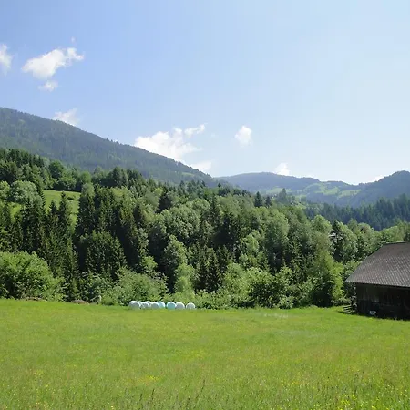 Appartement Naturoase Mirnock 