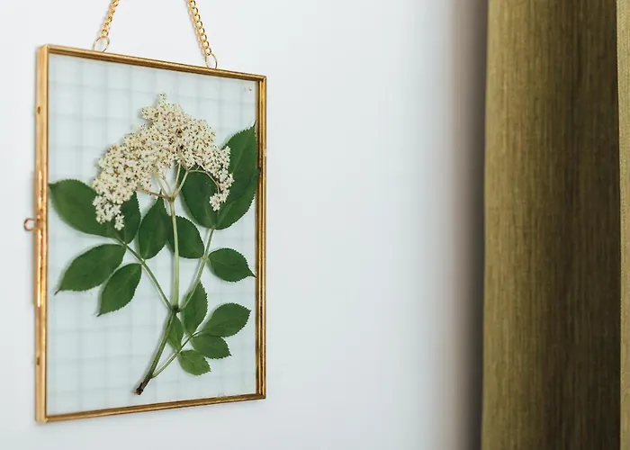 Naturoase Mirnock - Wandern & Mountainbike - Kaernten Card Inkl Appartement