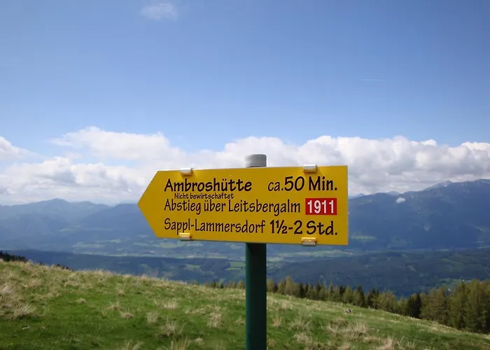 Naturoase Mirnock - Wandern & Mountainbike - Kaernten Card Inkl Apartament