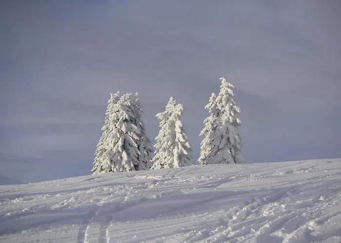 Naturoase Mirnock - Wandern & Mountainbike - Kaernten Card Inkl Apartament *