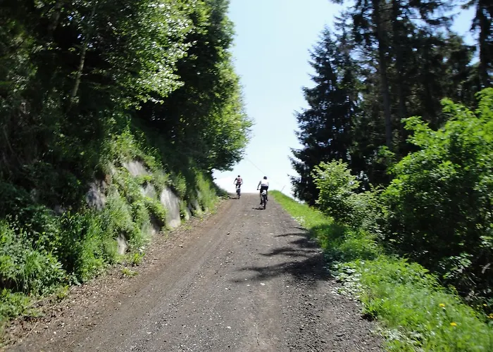 Naturoase Mirnock - Wandern & Mountainbike - Kaernten Card Inkl