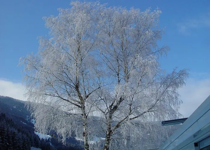 Naturoase Mirnock - Wandern & Mountainbike - Kaernten Card Inkl Apartament *