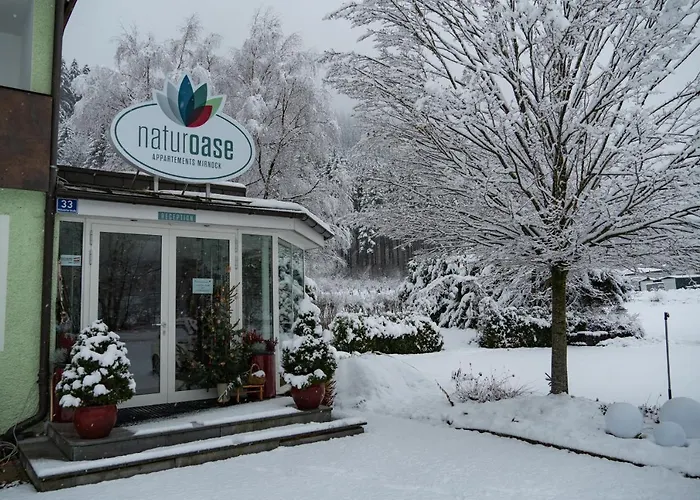 Naturoase Mirnock - Wandern & Mountainbike - Kaernten Card Inkl Appartement Afritz