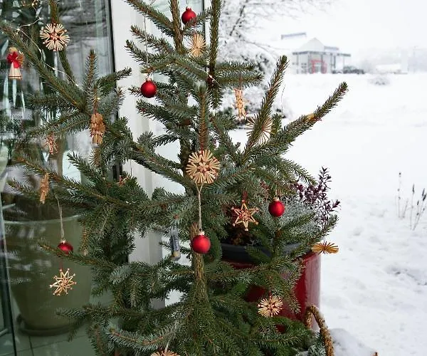 Naturoase Mirnock Kaernten Card Inklusive Ab 4 April