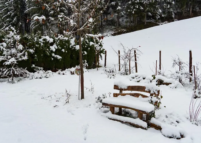 Naturoase Mirnock - Wandern & Mountainbike - Kaernten Card Inkl Apartament