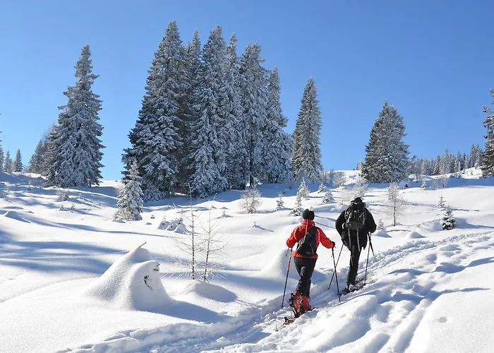 Naturoase Mirnock - Wandern & Mountainbike - Kaernten Card Inkl