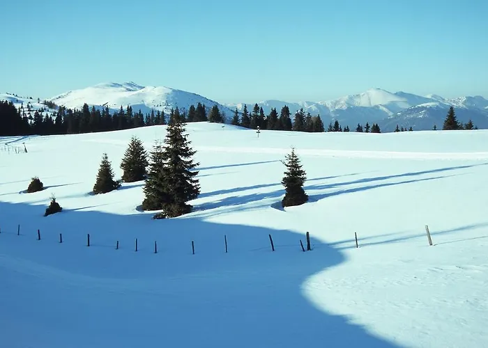 Naturoase Mirnock Kaernten Card Inklusive Ab 4 April * אפריץ