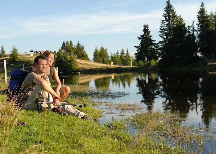 Naturoase Mirnock - Wandern & Mountainbike - Kaernten Card Inkl Appartement Afritz
