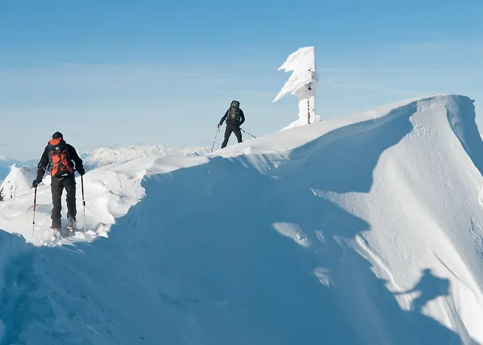 Naturoase Mirnock - Wandern & Mountainbike - Kaernten Card Inkl Appartement