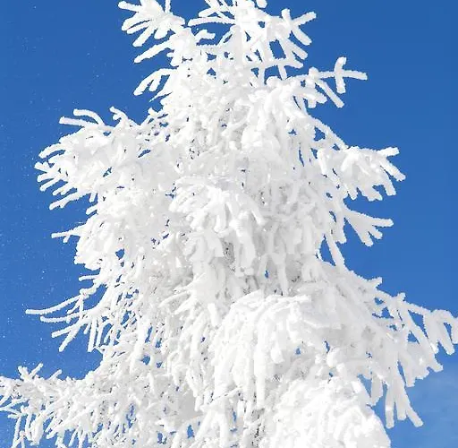 Naturoase Mirnock - Wandern & Mountainbike - Kaernten Card Inkl