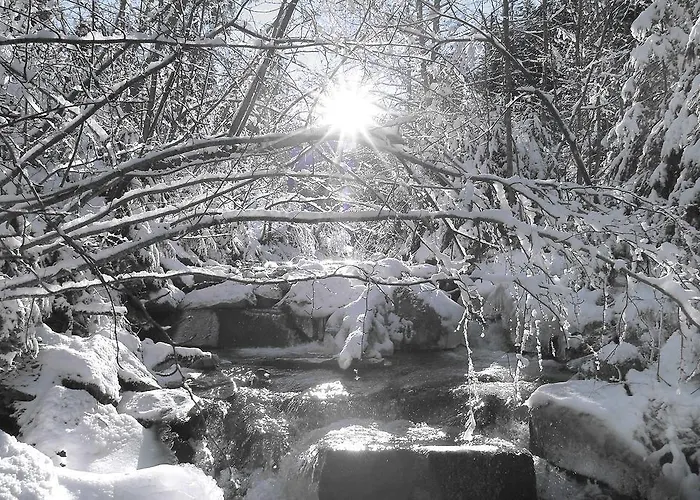 דירה Naturoase Mirnock Kaernten Card Inklusive Ab 4 April אפריץ