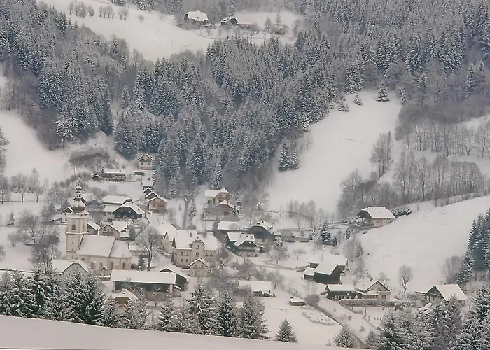 Naturoase Mirnock - Wandern & Mountainbike - Kaernten Card Inkl Apartament