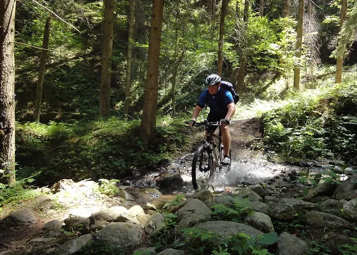 Appartement Naturoase Mirnock - Wandern & Mountainbike - Kaernten Card Inkl Afritz